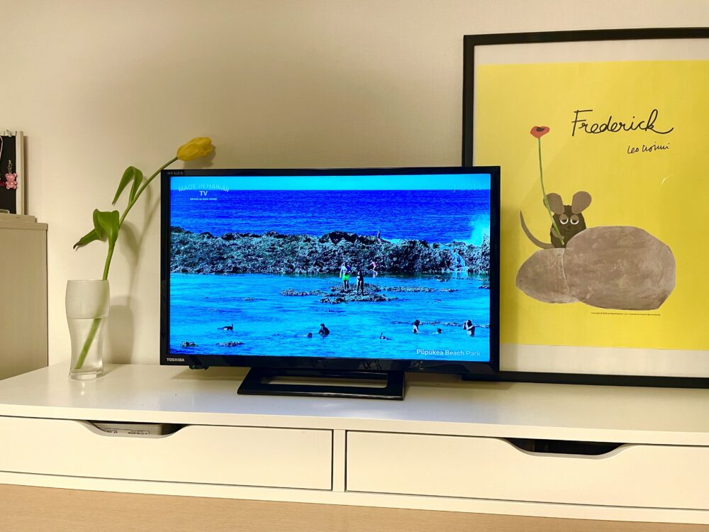 24インチREGZA（レグザ）24S24を購入。テレビと距離が近いなら小型が