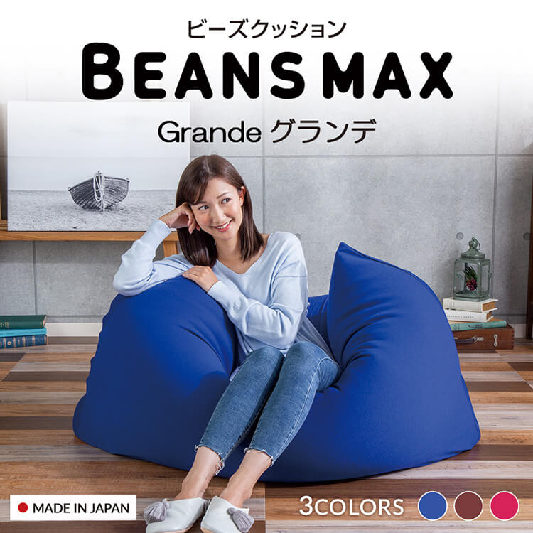アイリスオーヤマ ビーンズMAXグランデ 引用:楽天市場