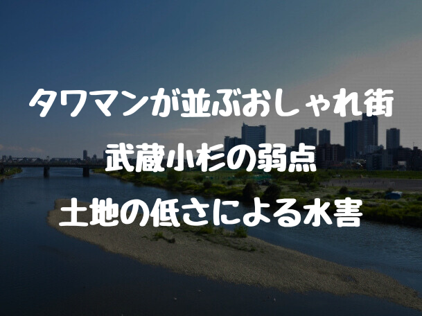 タワマンが並ぶおしゃれ街 武蔵小杉の弱点 土地の低さによる水害