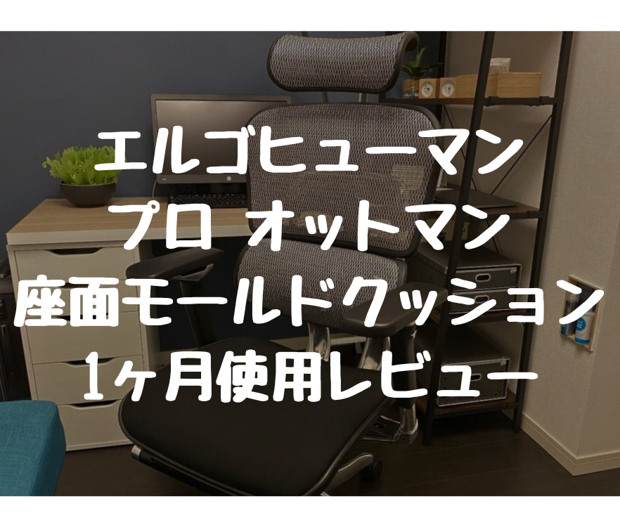 エルゴヒューマン プロ オットマン 座面モールドクッション 1ヶ月使用レビュー